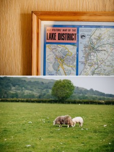 Sheep in the Lake District