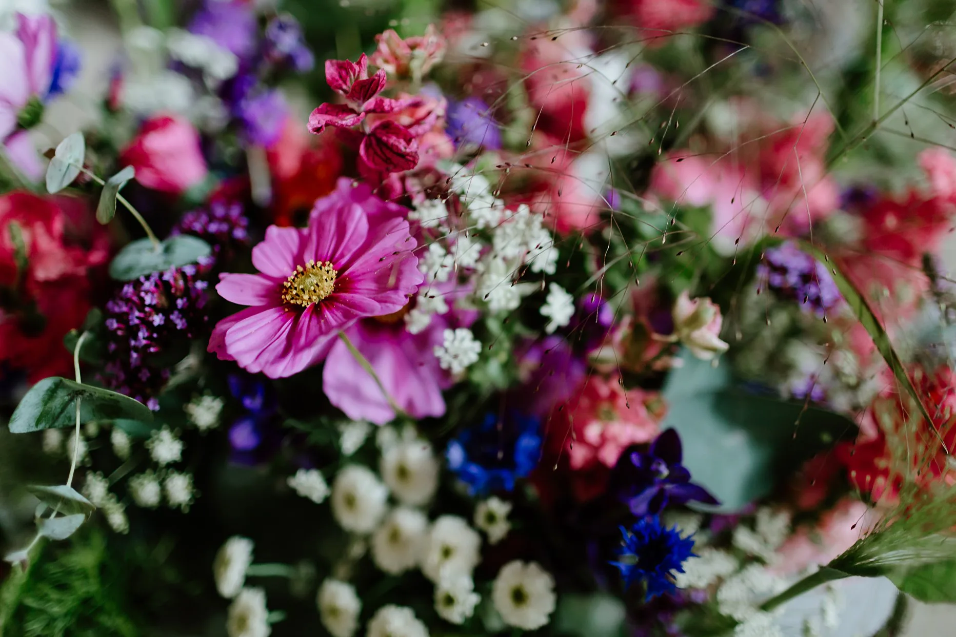 Close up detail photo of colourful flowers in wedding bouquet. Wild flowers and foliage.