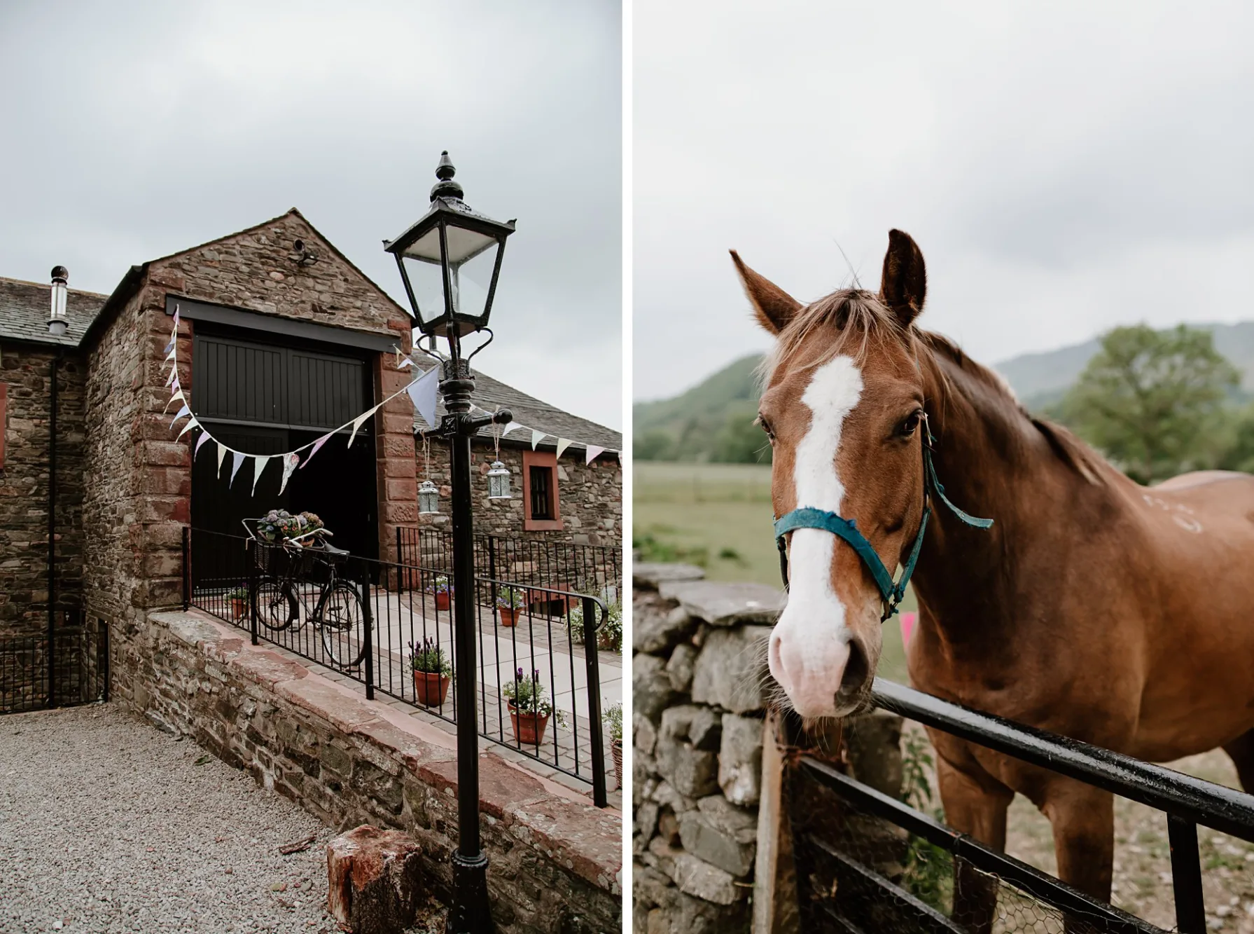 Horse outside New House Farm wedding barn in Lorton valley, Lake District
